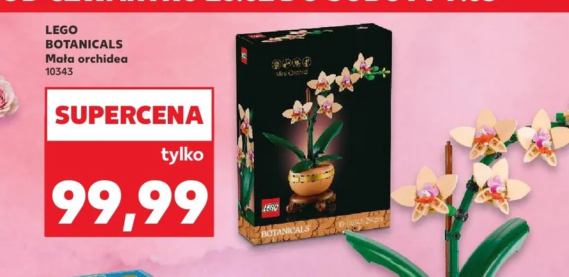 Lego Botanicals Mała orchidea promocja w Kaufland