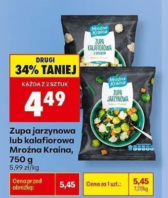 Zupa jarzynowa Mroźna Kraina promocja w Biedronka