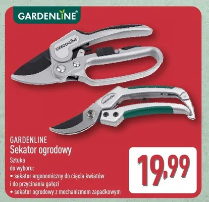 Sekator ogrodowy ergonomiczny do cięcia kwiatów i przycinania gałęzi Gardenline promocja w Aldi