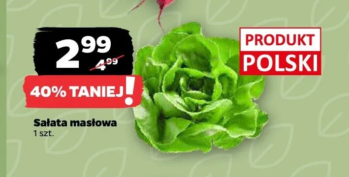 Sałata masłowa polska promocja w Netto
