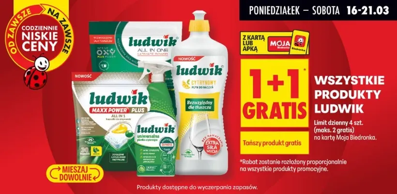 Wszystkie produkty Ludwik 1+1 GRATIS promocja w Biedronka