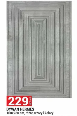 Dywan Hermes 160x230cm promocja w Merkury Market