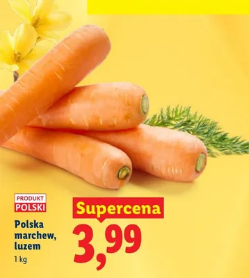 Marchew, luzem promocja w Lidl