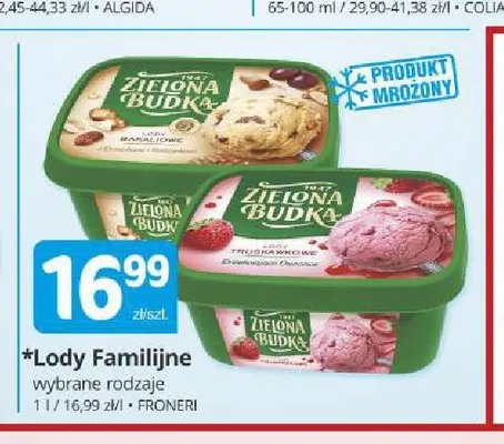 Lody Familijne Zielona Budka promocja w Marketvita