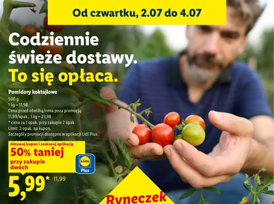 Pomidory koktajlowe Ryneczek Lidla promocja w Lidl