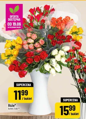 Róże promocja w POLOmarket