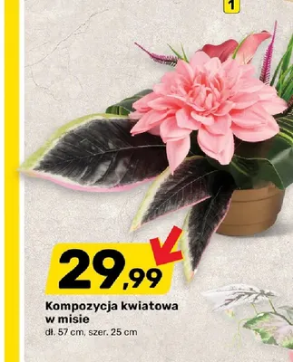 Kompozycja kwiatowa w misie promocja w Bricomarche