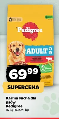 Karma sucha dla psów Pedigree promocja w Netto