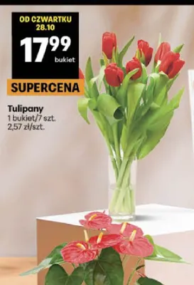 Tulipany promocja w Delikatesy Centrum