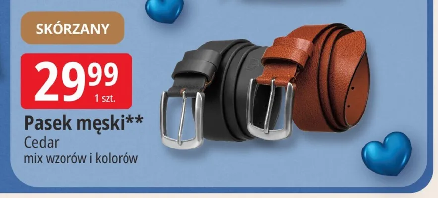 Pasek męski Cedar promocja w Leclerc