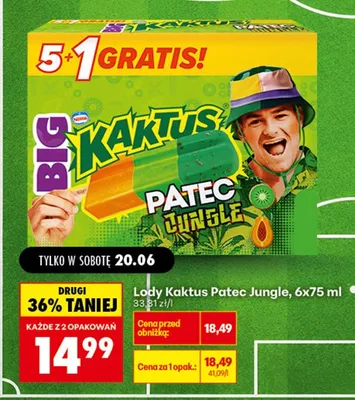 Lody Kaktus Patec Jungle 6-pak 75 ml promocja w Biedronka