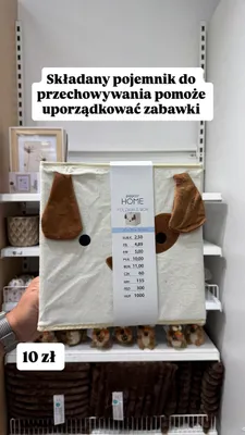 Składany pojemnik do przechowywania Pepco Home promocja w Pepco