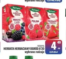 Herbata Herbaciany Ogród Herbapol promocja w Tomi Markt
