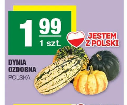 Dynia ozdobna polska promocja w SPAR