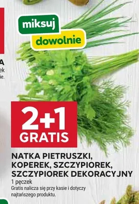 Natka pietruszki, koperek, szczypiorek, szczypiorek dekoracyjny promocja w Stokrotka