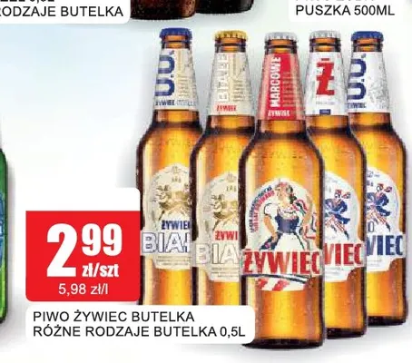 Piwo Żywiec promocja w Bingo