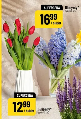 Tulipany promocja w POLOmarket