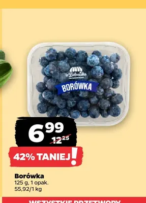Borówka promocja w Netto