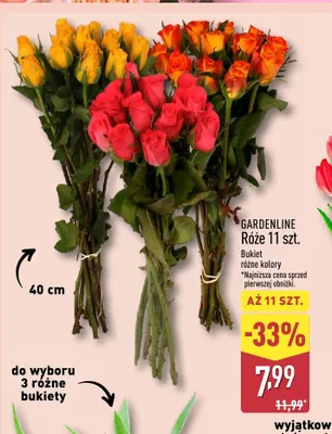 Róże 11 szt. Bukiet różne kolory promocja w Aldi
