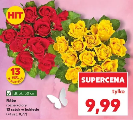 Róże promocja w Kaufland