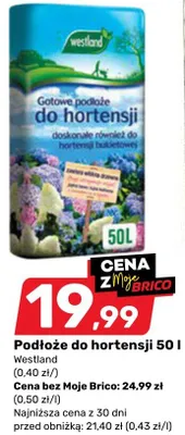 Podłoże do hortensji promocja w Bricomarche