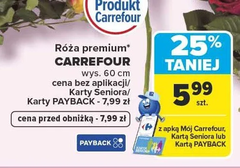 Róża premium Carrefour wys. 60cm promocja w Carrefour