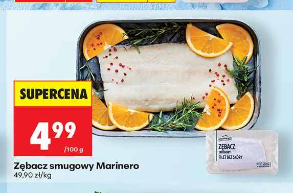Zębacz smugowy Marinero promocja w Biedronka