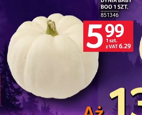 Dynia Baby Boo promocja w Selgros