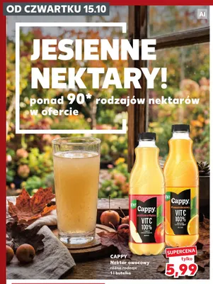 Nektar owocowy Cappy jabłkowy mętny promocja w Kaufland