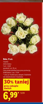 Róże 11szt. wys. ok. 35cm promocja w Lidl