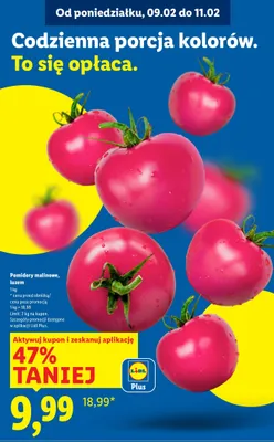 Pomidory malinowe luzem promocja w Lidl