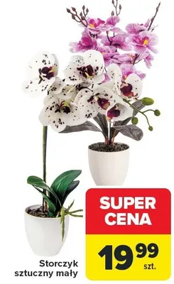 Storczyk sztuczny mały promocja w Carrefour