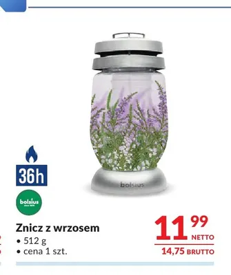 Znicz z wrzosem Bolsius promocja w Makro