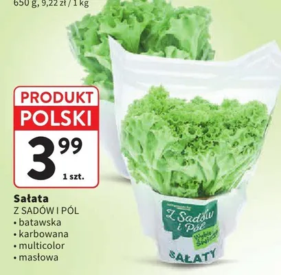 Sałata multicolor Z Sadów i Pól promocja w Intermarche