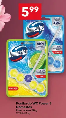 Kostka do WC Power 5 lime, ocean promocja w LEWIATAN