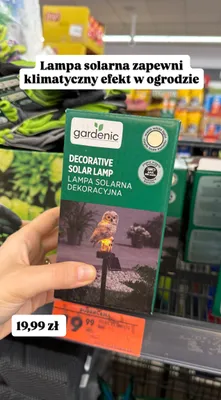 Lampa solarna dekoracyjna Gardenic promocja w Biedronka