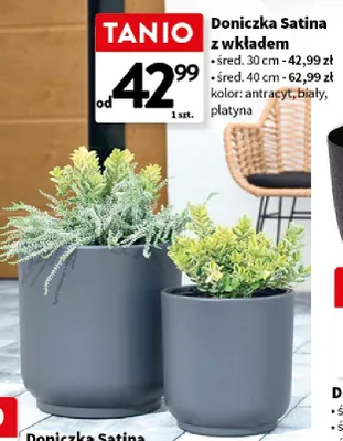 Doniczka Satina z wkładem promocja w Intermarche