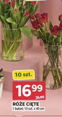 Róże cięte 40cm promocja w Stokrotka