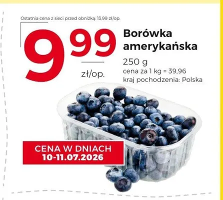 Borówka amerykańska promocja w Frac
