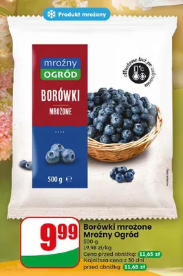 Borówki mrożone Mroźny Ogród promocja w Dino