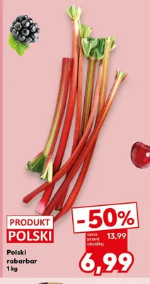 Rabarbar polski Kaufland promocja w Kaufland