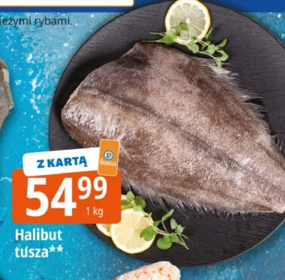 Halibut tusza promocja w Leclerc