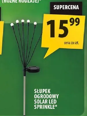 Słupek ogrodowy solar LED Sprinkle promocja w Arhelan