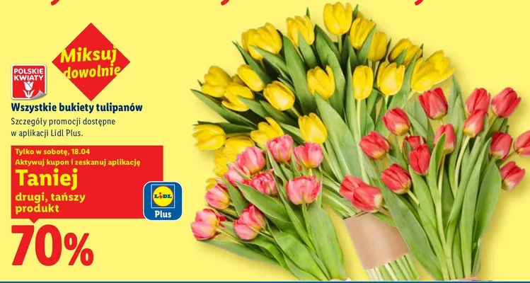 Bukiety tulipanów promocja w Lidl
