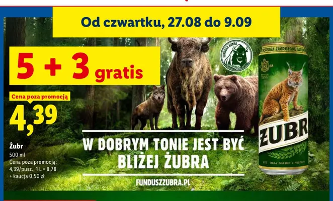 Piwo Żubr promocja w Lidl