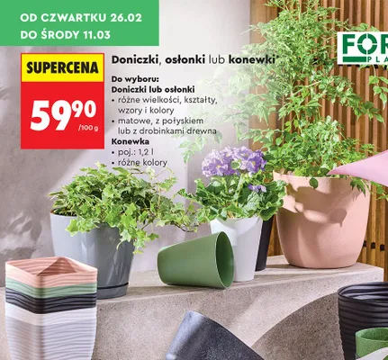 Doniczki lub osłonki promocja w Biedronka