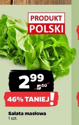 Sałata masłowa polska promocja w Netto