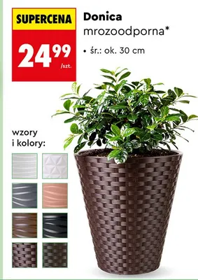 Donica mrozoodporna promocja w Biedronka