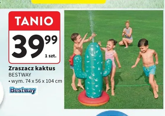 Zraszacz kaktus BESTWAY wym. 74x56x104cm promocja w Intermarche