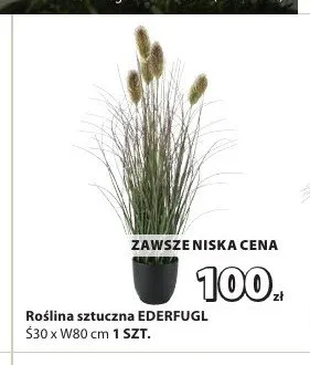 Roślina sztuczna Ederfugl promocja w Jysk